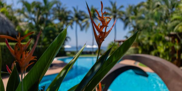 Pool at The Inn at Manzanillo Bay, a Boutique hotel in Troncones Beach