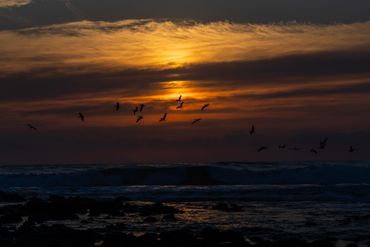 Manzanillo Bay, Troncones, Sunset and Pelicans