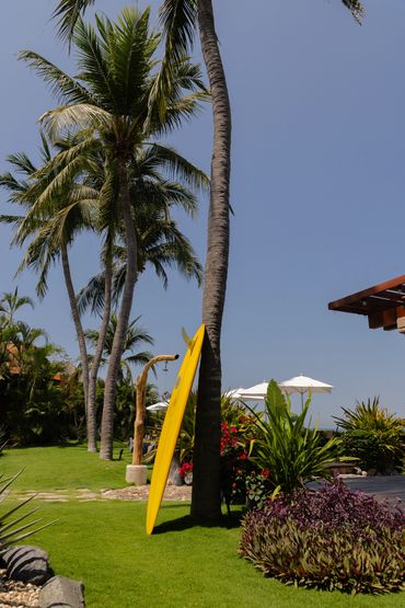 Surfboard leaning on Palm tree in Troncones