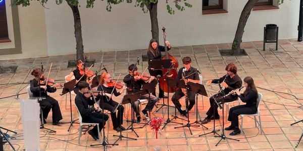 A small orchestra performs outdoors, featuring strings and woodwind instruments.