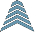 Lassiter Management Partners