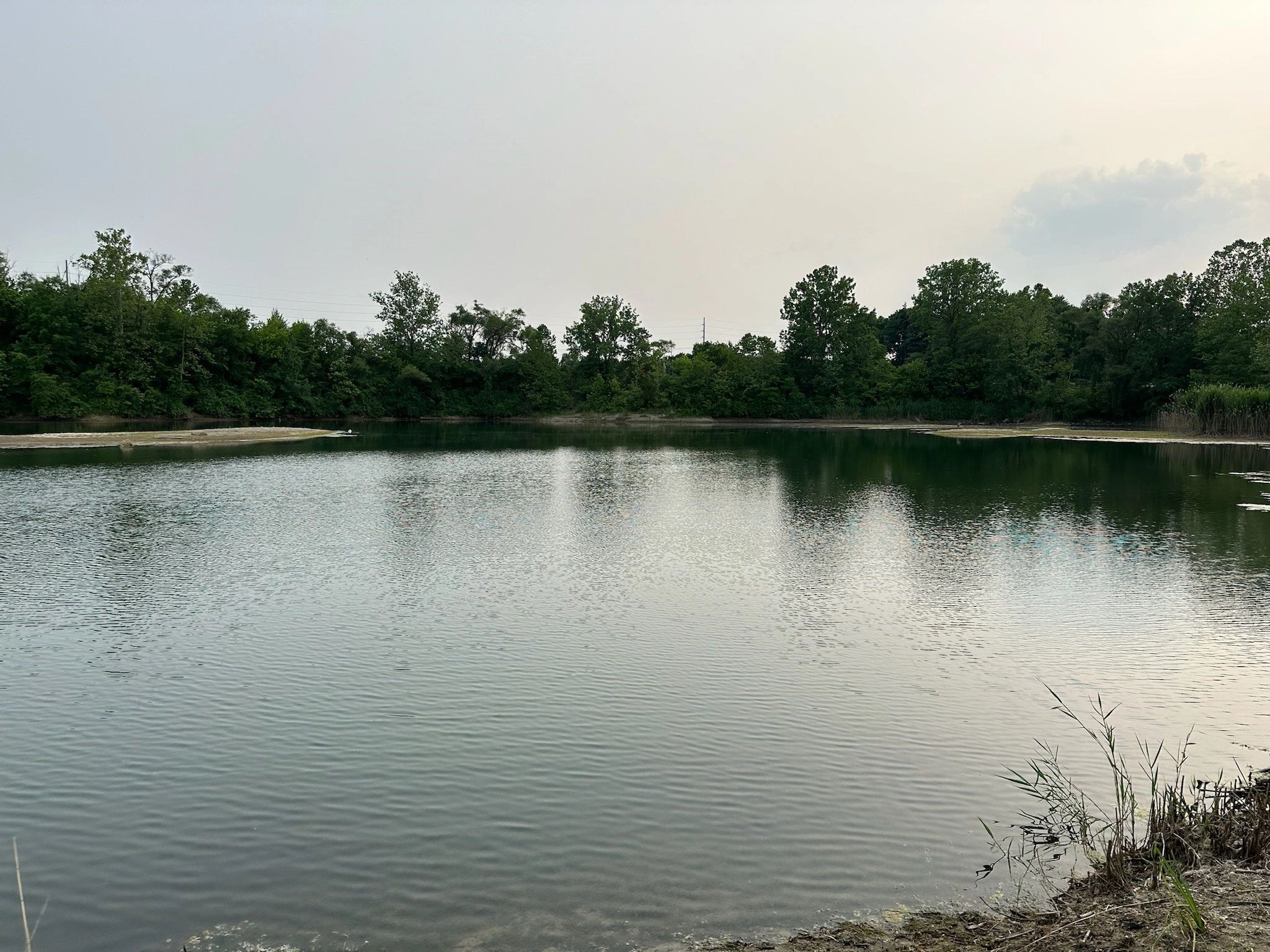 Wild Cooks and Hooks