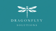 Dragonflyy
        Solutions