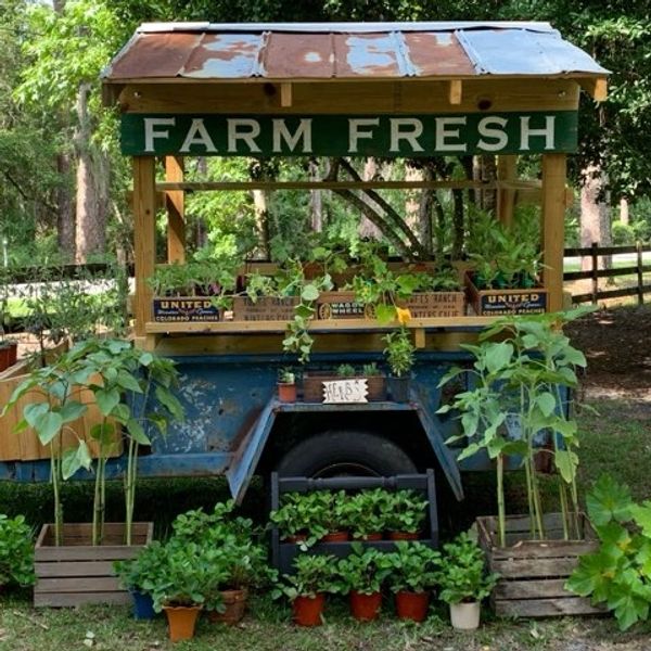 Parsley Lane Farm Stand is open everyday from 9:00 - 6:00