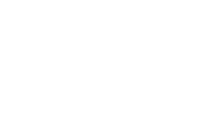 VYNE