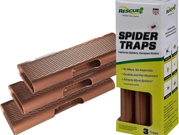 small spider traps