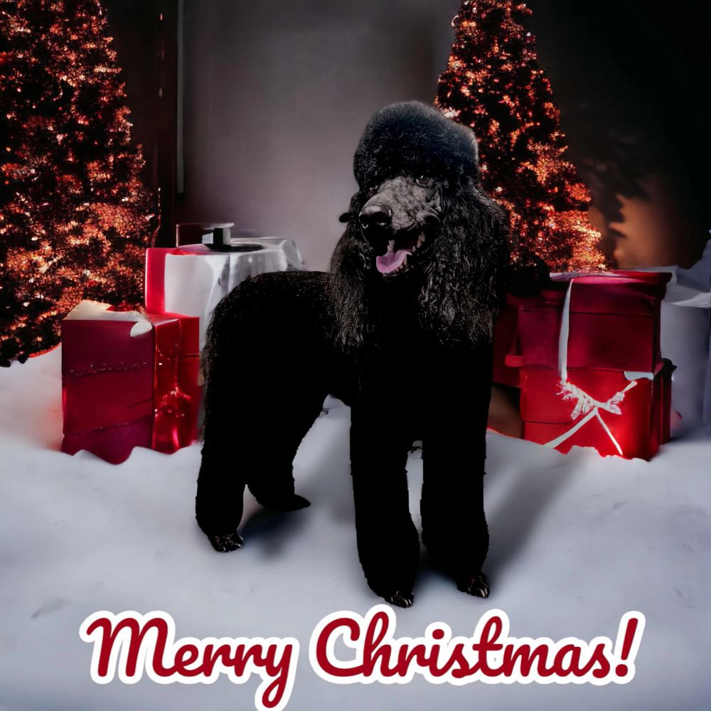 Chandler, AZ Mobile Pet Groomers Pet Grooming Professionals