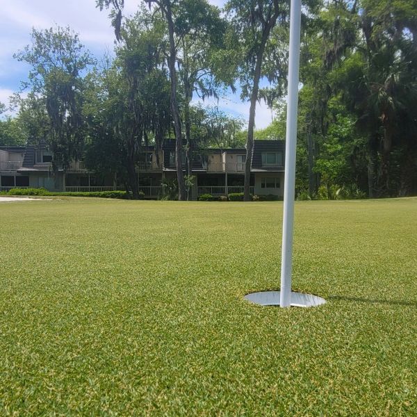 Golf hole flagstick on a green with trees and houses in the background.
