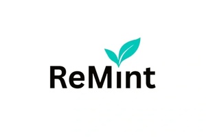Remint Capital