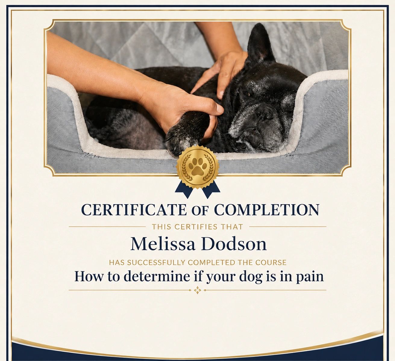 Certificate awarded to Melissa Dodson for completing a dog pain recognition course.