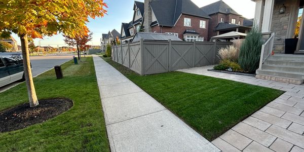 Suburban neighborhood sidewalk with autumn trees and houses.