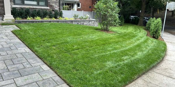Freshly mowed green lawn bordered by stone pathways.