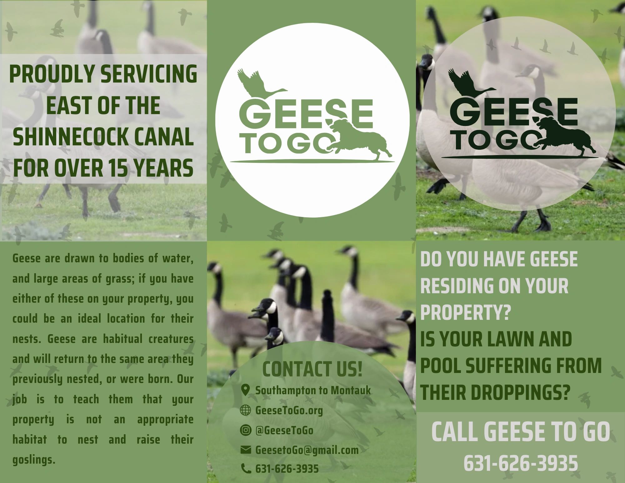 About | Geese To Go With Hank & Henny