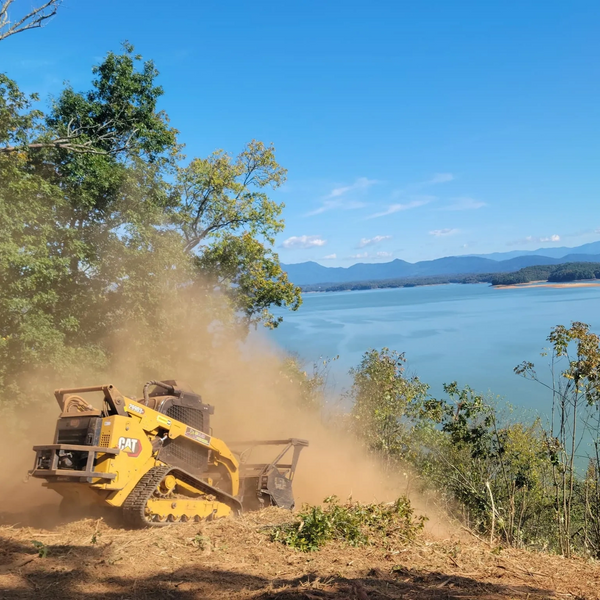 FORESTRY,MULCHING,LAND CLEARING, TREE, LAKE PROPERTY,BRUSH,TRAILS, ECO FRIENDLY,VEGETATION,GRIND,