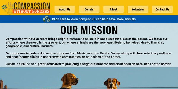 Homepage of Compassion Without Borders (clickable)