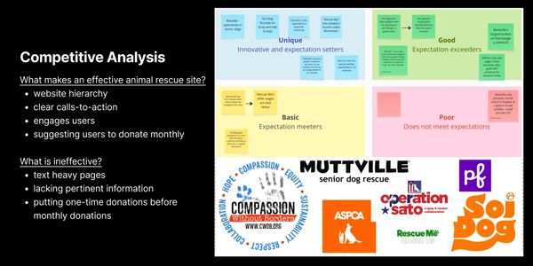 Competitive analysis of animal rescue websites focusing on hierarchy, calls-to-action, and donation strategies.