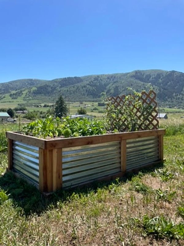 Cedar and galvalume raised garden bed with lattice in Eden, Utah