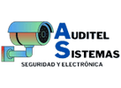auditelsistemas.com.mx