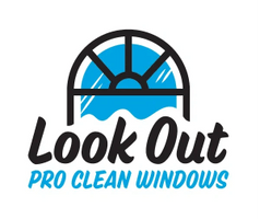Pro Clean WinDows
