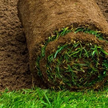 Lawn, soil, sodding, grass, GEO