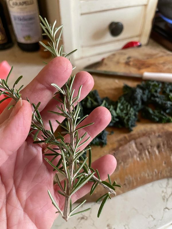 Rosemary from the garden