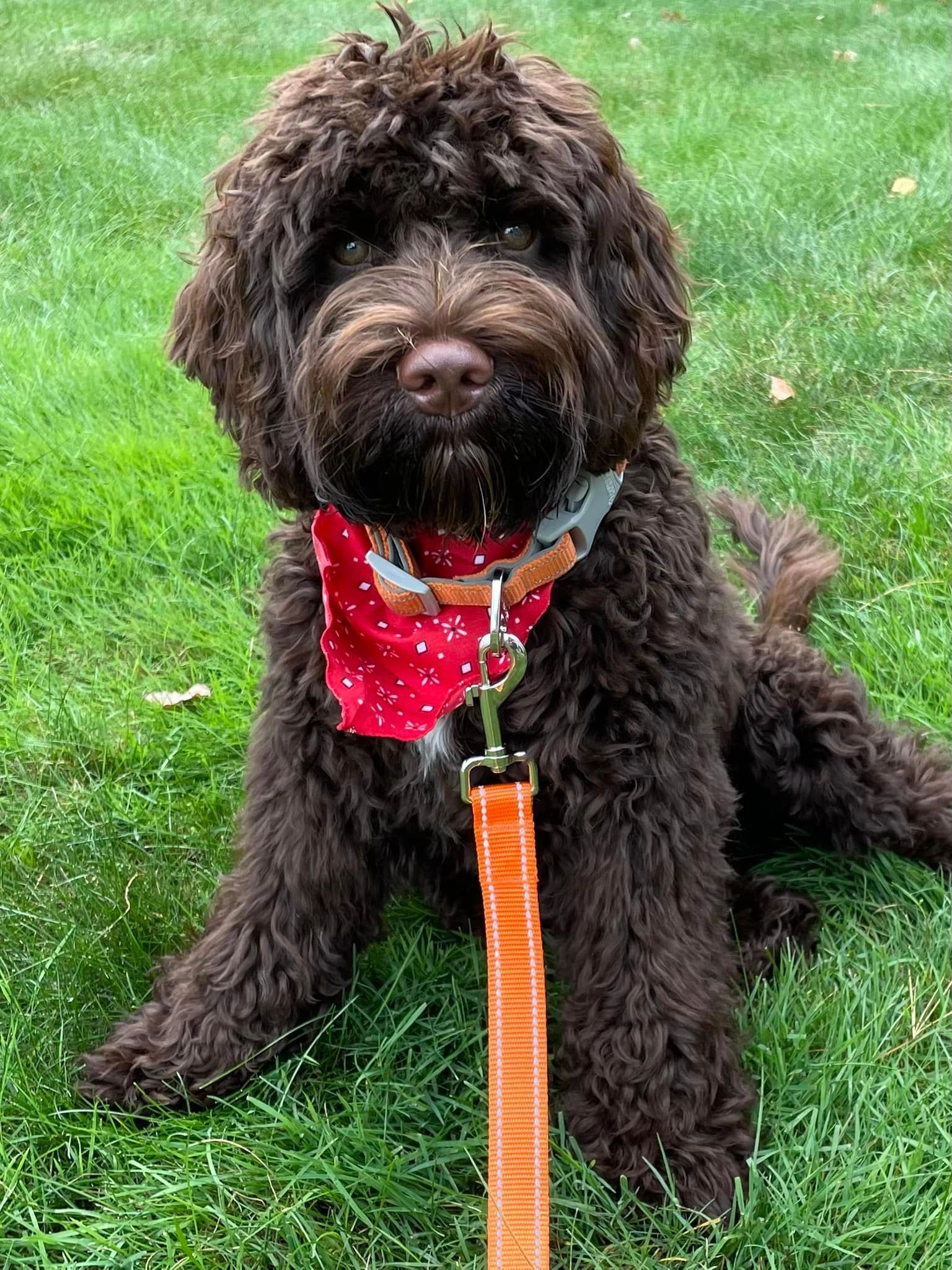 From Lizzie Smith Proud Mom of from Bud and Indies