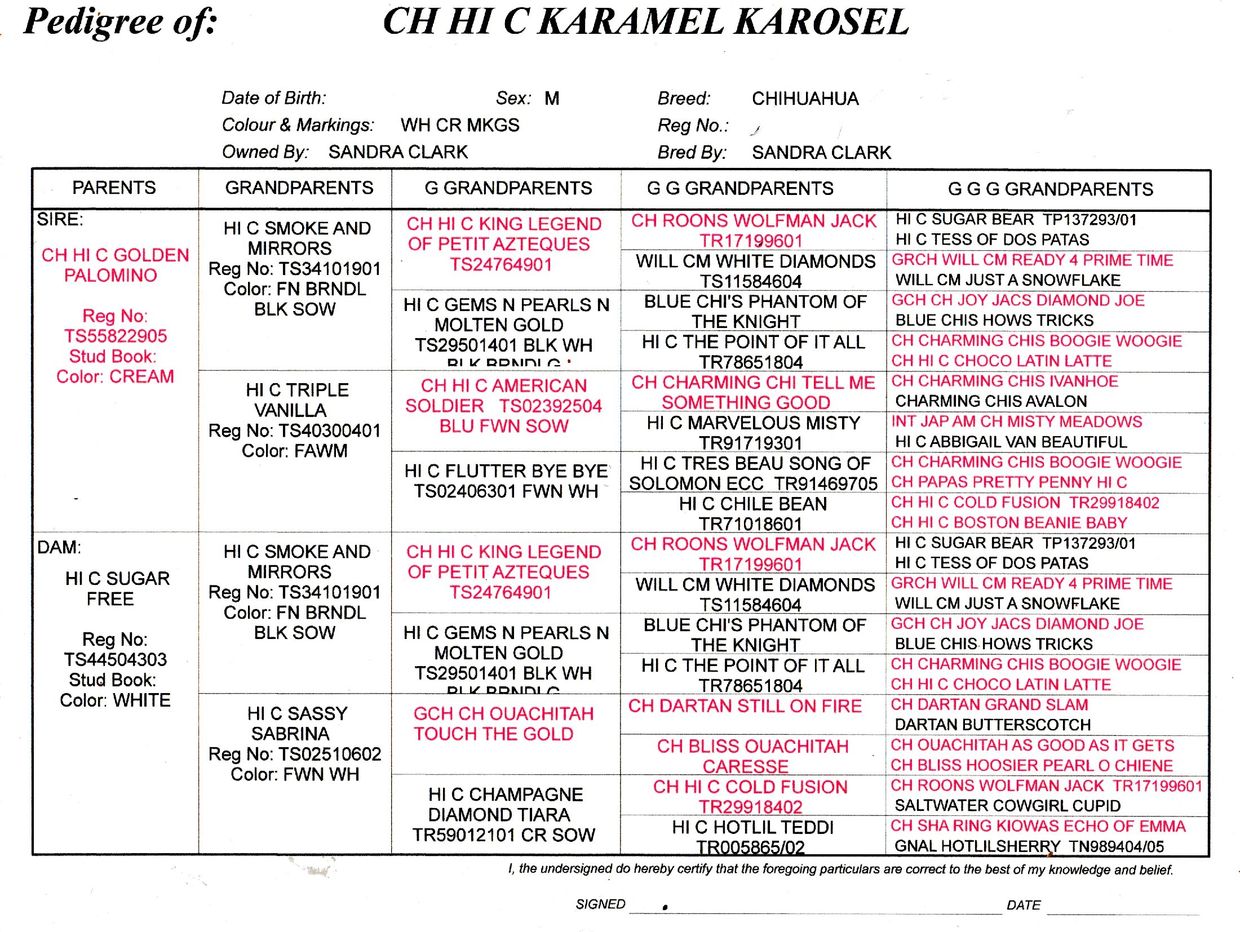 Pedigree chart for Chihuahua CH HI C Karamel Karosel showing lineage and registration details.