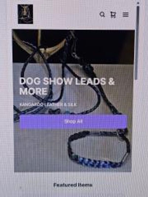 Dog show leads and collars made from kangaroo leather and silk.