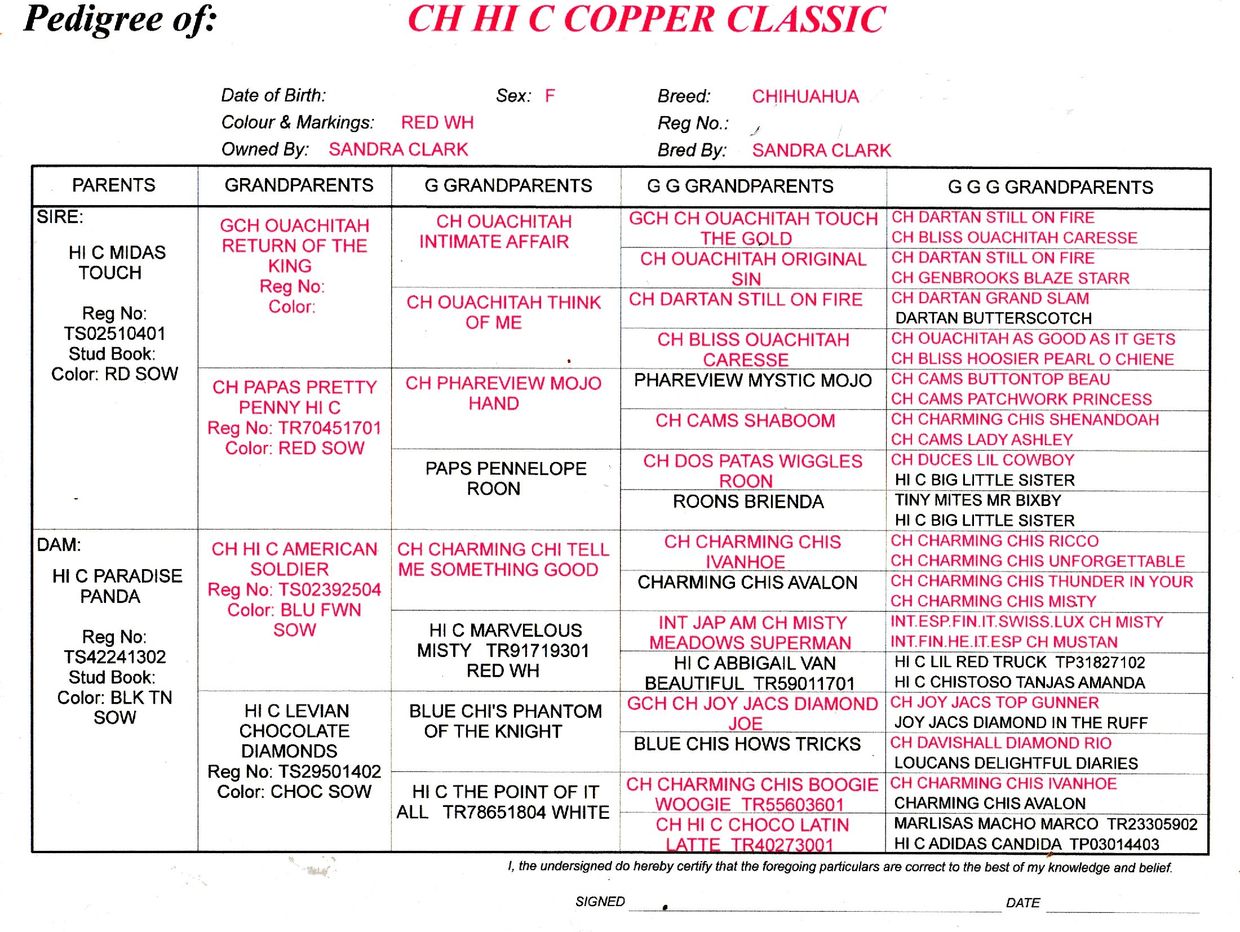 Pedigree chart of Chihuahua named CH HI C COPPER CLASSIC showing ancestors and registration details.