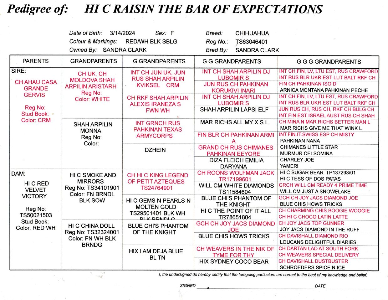 Pedigree chart for Chihuahua named Hi C Raisin The Bar Of Expectations.