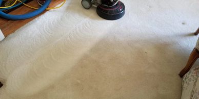 Fast drying carpet cleaning