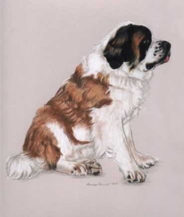 Color Pencil Portrait Art by Arlene Kelley