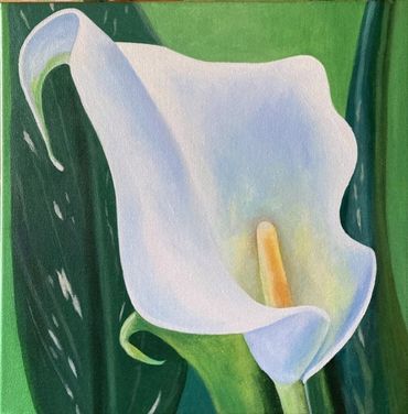 Calla Lily