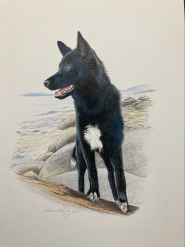 Color Pencil Portrait Art by Arlene Kelley