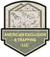 American Exclusion and Trapping LLC