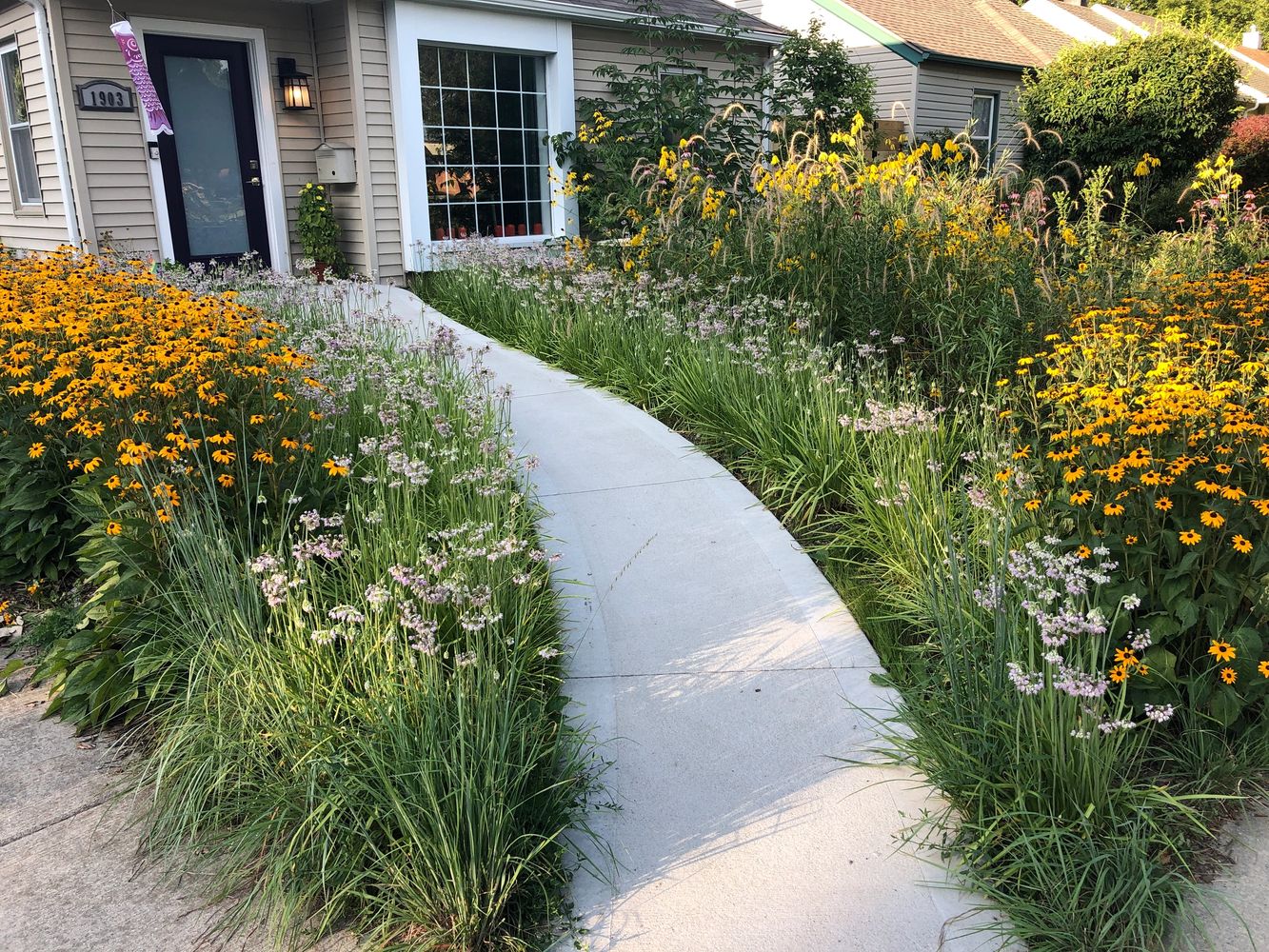 Front yard with native plants