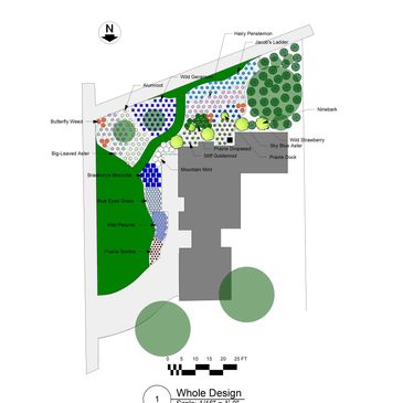 Native landscape design diagram