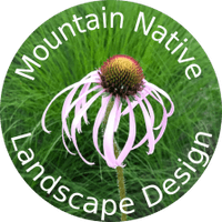 Mountain Native Landscape Design