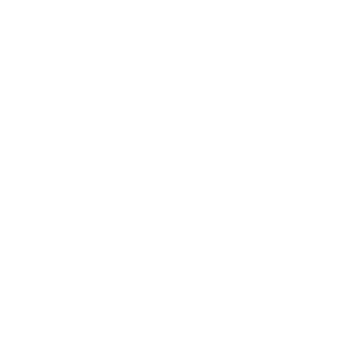 A. Rich Accounting Co.
