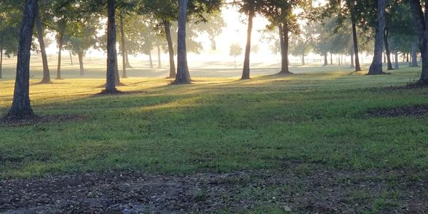 Twin Hill Pecans