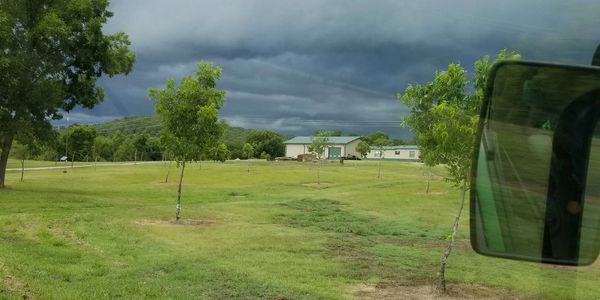 Twin Hill Pecans