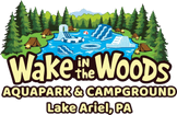 Wake in the Woods