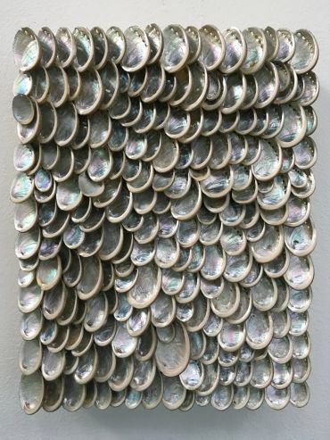Wall art made of iridescent shell halves arranged in a pattern.
