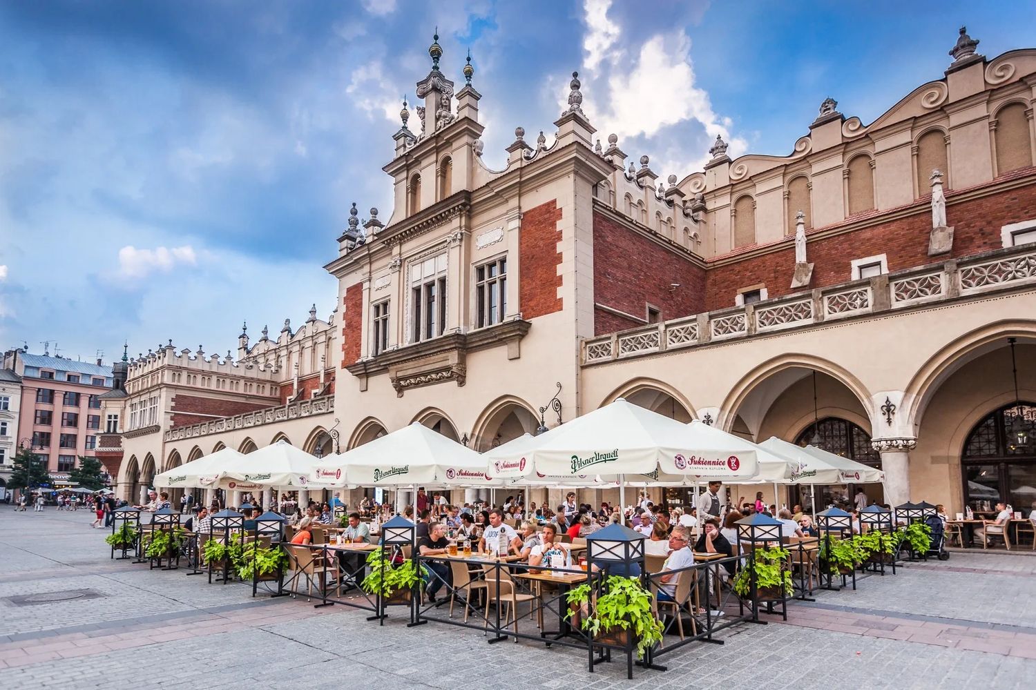 Poland Travel Specialist