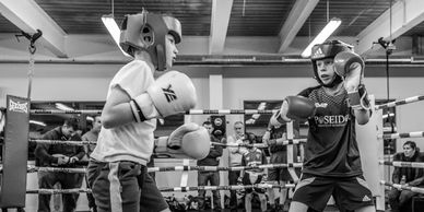 Two young boxers sparring in the boxing ring