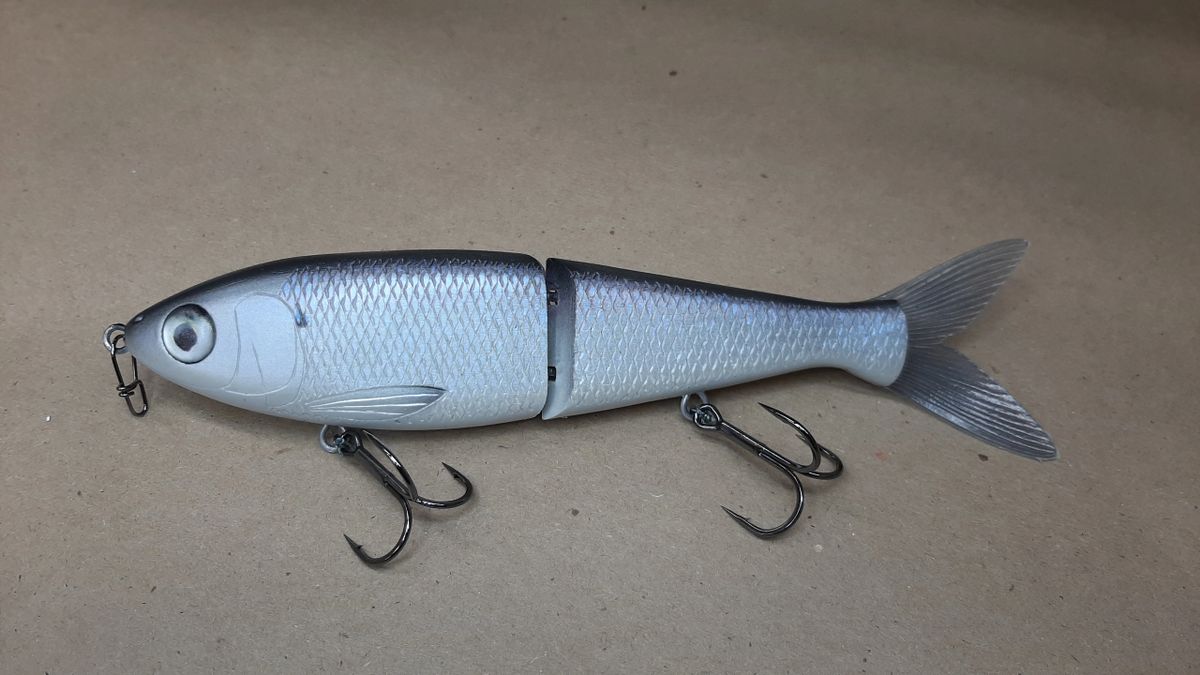 MM26 Herring Glide Chatuge Herring