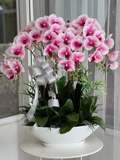 Floral arrangements to brighten and beautify your space.