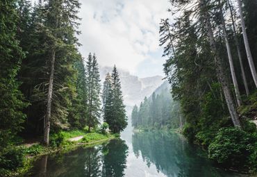 A serene river flows through a dense forest with misty mountains in the background.
