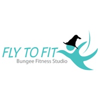 fit to fly