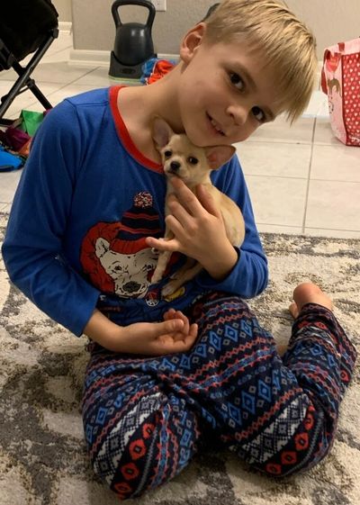 A serene landscape featuring a sunset over a calm lake surrounded by mountains.